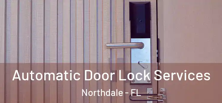 Automatic Door Lock Services Northdale - FL