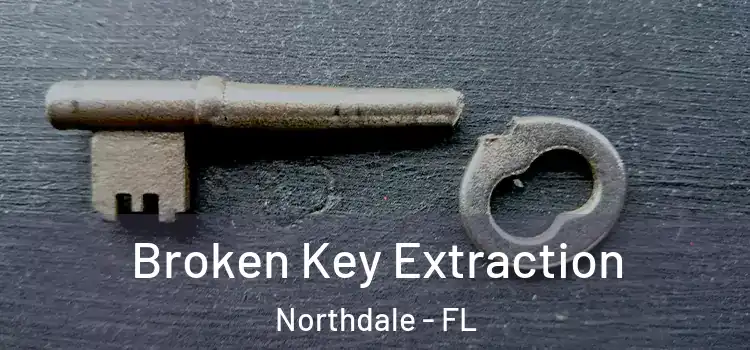 Broken Key Extraction Northdale - FL