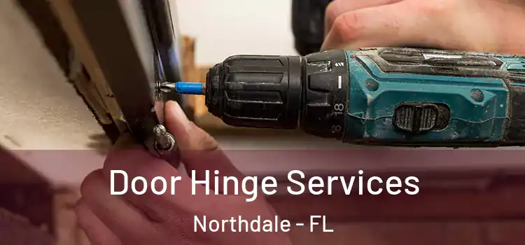 Door Hinge Services Northdale - FL