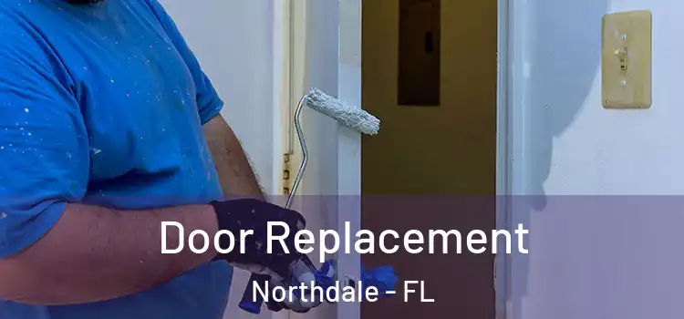 Door Replacement Northdale - FL