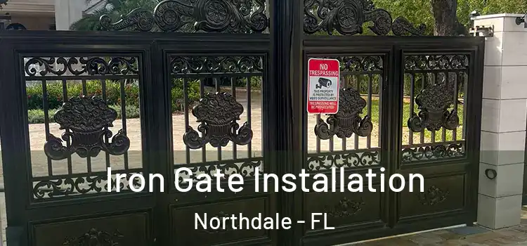 Iron Gate Installation Northdale - FL