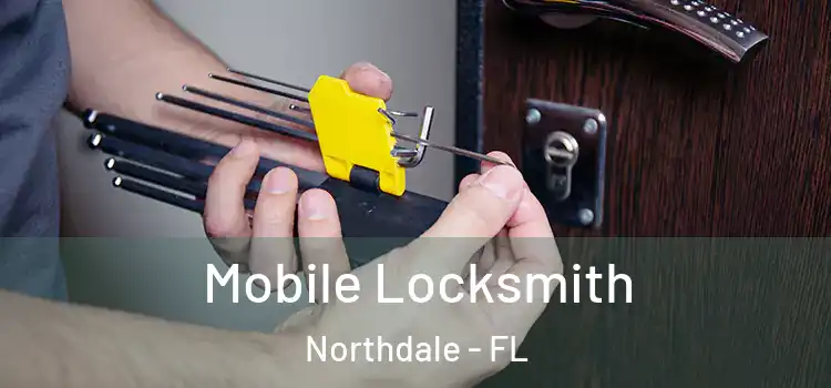Mobile Locksmith Northdale - FL
