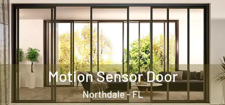 Motion Sensor Door Northdale - FL